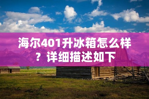 海尔401升冰箱怎么样？详细描述如下：