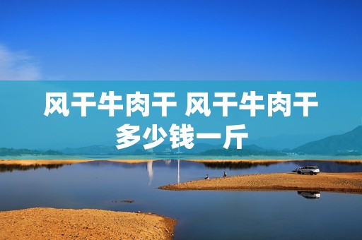 风干牛肉干 风干牛肉干多少钱一斤 风干牛肉干 风干牛肉干多少钱一斤