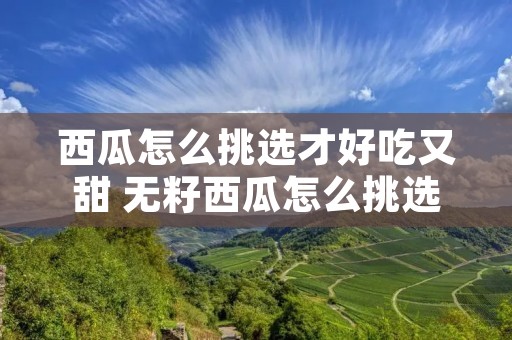 西瓜怎么挑选才好吃又甜 无籽西瓜怎么挑选才好吃又甜 西瓜怎么挑选才好吃又甜 无籽西瓜怎么挑选才好吃又甜