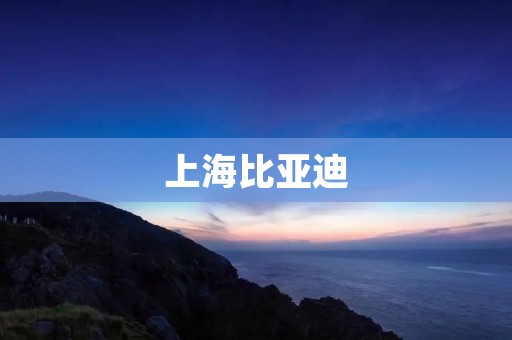 上海比亚迪:中国新能源汽车行业的领军者 上海比亚迪:中国新能源汽车行业的领军者