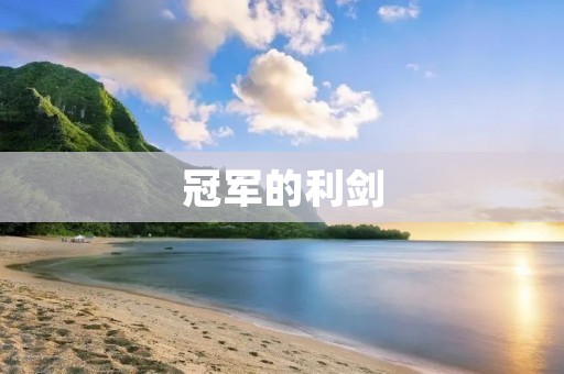 冠军的利剑:突破极限,创造辉煌 冠军的利剑:突破极限,创造辉煌