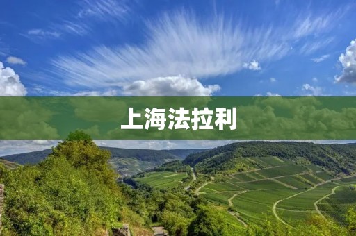 上海法拉利：奢华与速度的完美结合