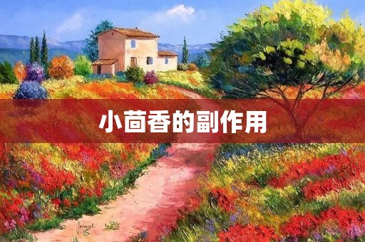 小茴香的副作用:了解它们可能带来的健康风险