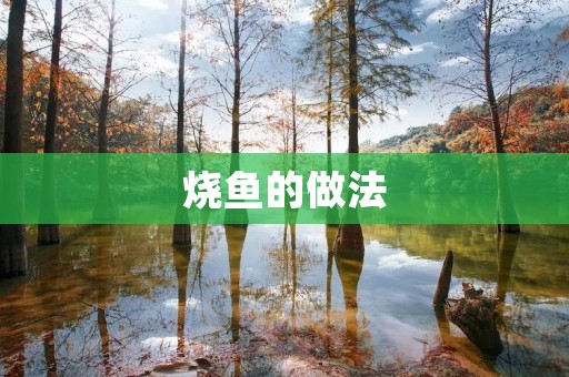 烧鱼的做法：一道美味烹饪艺术的独特表达