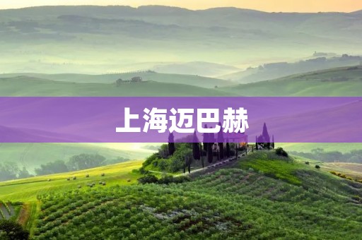 上海迈巴赫:奢华与性能的完美结合 上海迈巴赫:奢华与性能的完美结合