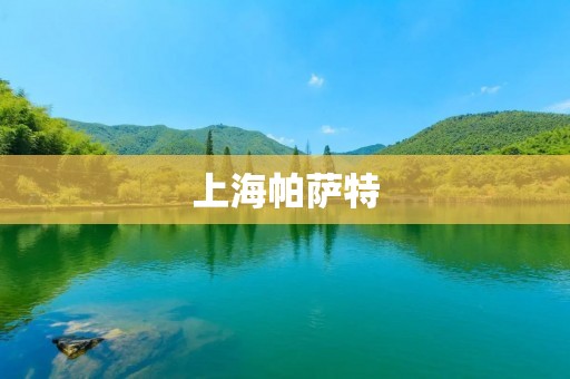 上海帕萨特：豪华与实用的完美结合