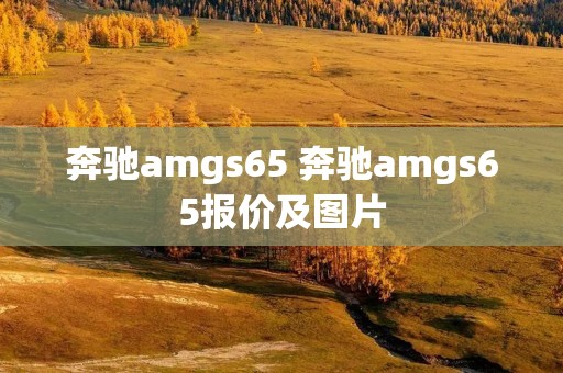 奔驰amgs65 奔驰amgs65报价及图片