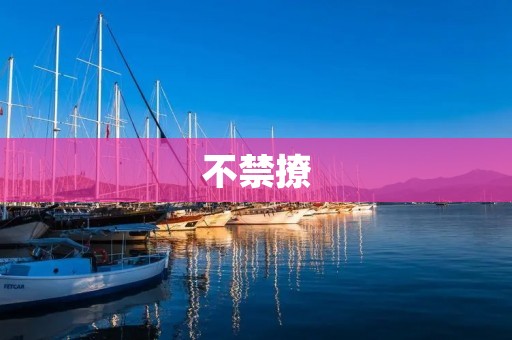 不禁撩：如何巧妙运用撩妹技巧追求爱情？