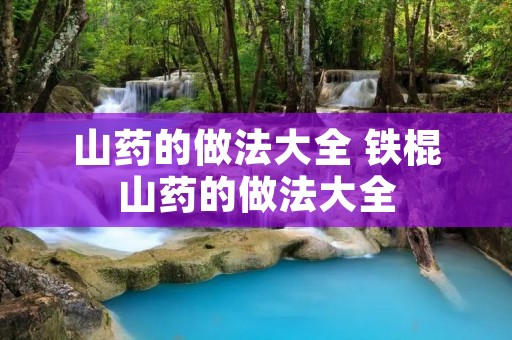 山药的做法大全 铁棍山药的做法大全