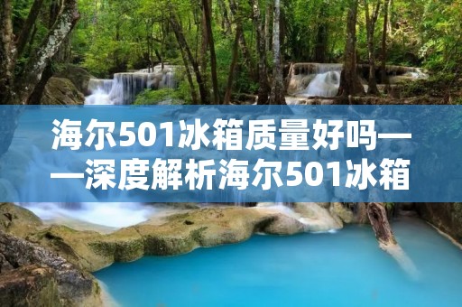 海尔501冰箱质量好吗——深度解析海尔501冰箱的品质与性能
