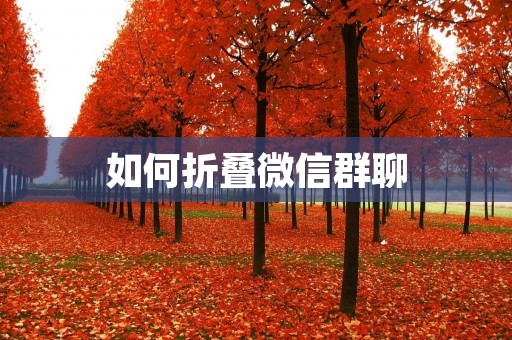 如何折叠微信群聊