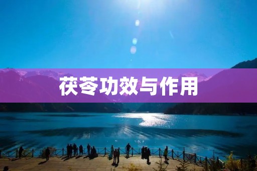 茯苓功效与作用:了解这种神奇的中药