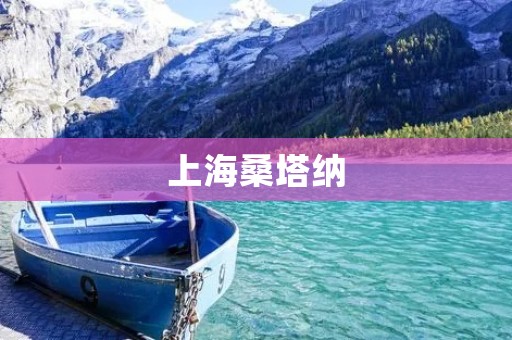 上海桑塔纳:一款经典的城市代步座驾 上海桑塔纳:一款经典的城市代步座驾