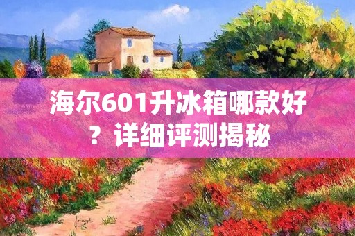 海尔601升冰箱哪款好?详细评测揭秘 海尔601升冰箱哪款好?详细评测揭秘