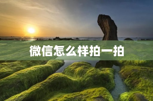 微信怎么样拍一拍：利用微信拍一拍功能增进社交互动
