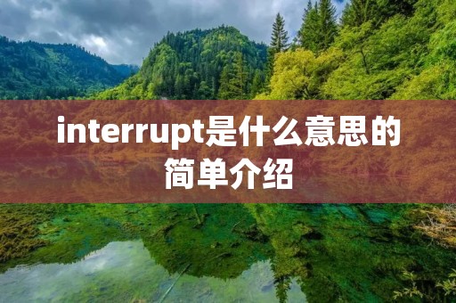 interrupt是什么意思的简单介绍 interrupt是什么意思的简单介绍
