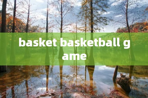 basket basketball game basket basketball game