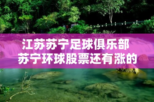 江苏苏宁足球俱乐部 苏宁环球股票还有涨的可能吗