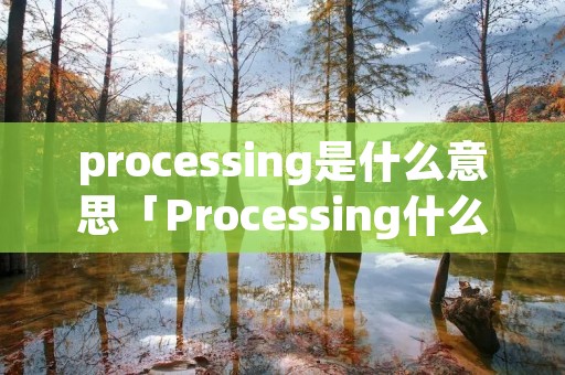 processing是什么意思「Processing什么意思」