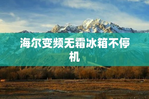 海尔变频无霜冰箱不停机：享受持久的冷藏体验