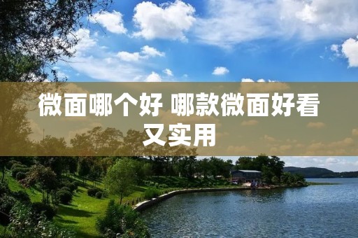 微面哪个好 哪款微面好看又实用