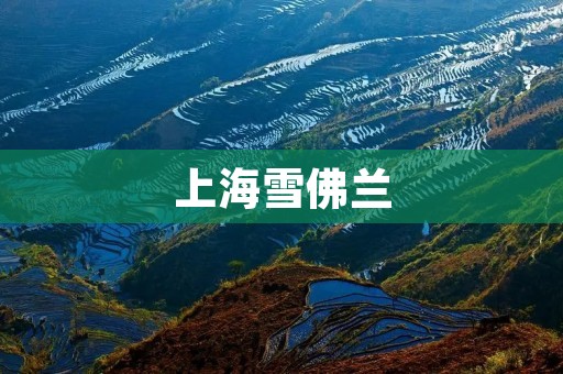 上海雪佛兰：为城市驰骋的时尚之选