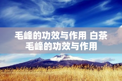 毛峰的功效与作用 白茶毛峰的功效与作用