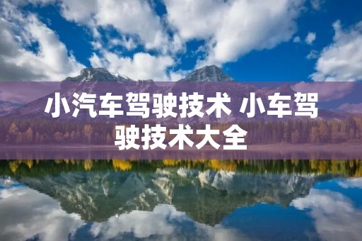 小汽车驾驶技术 小车驾驶技术大全