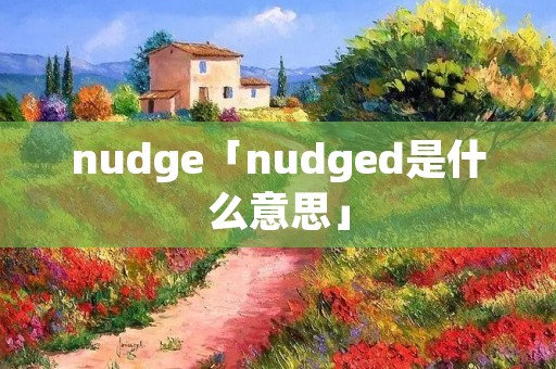 nudge「nudged是什么意思」
