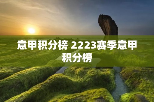 意甲积分榜 2223赛季意甲积分榜