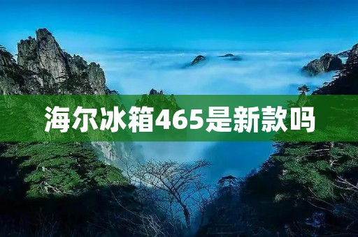 海尔冰箱465是新款吗 海尔冰箱465是新款吗