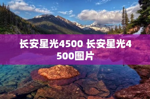 长安星光4500 长安星光4500图片