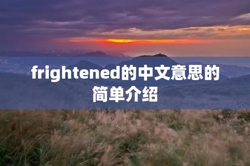 frightened的中文意思的简单介绍