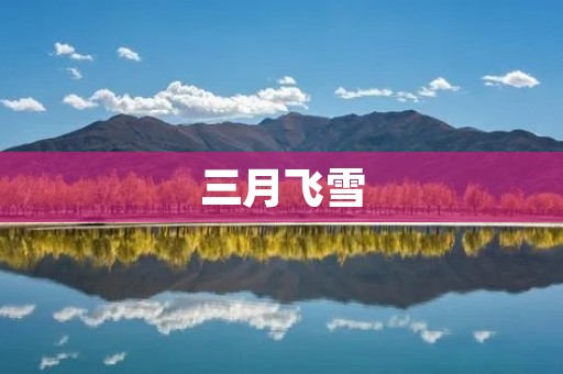 三月飞雪:银装素裹的冬日童话