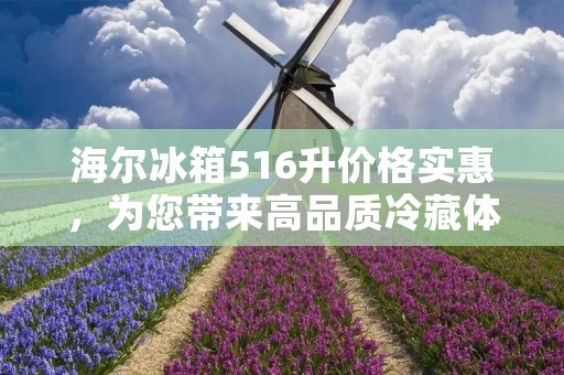 海尔冰箱516升价格实惠,为您带来高品质冷藏体验 海尔冰箱516升价格实惠,为您带来高品质冷藏体验