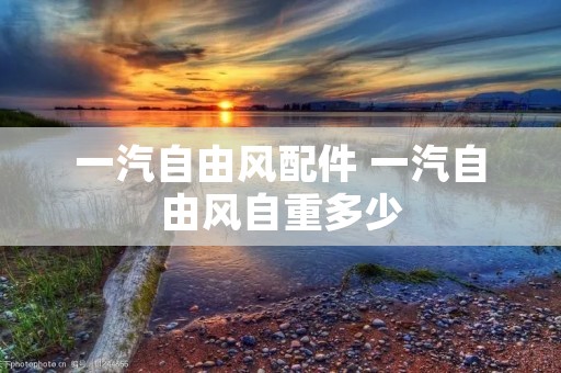 一汽自由风配件 一汽自由风自重多少