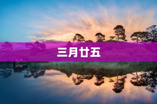 三月廿五:一场别样的盛会