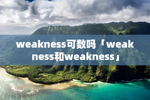 weakness可数吗「weakness和weakness」
