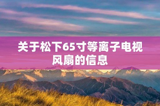 关于松下65寸等离子电视风扇的信息
