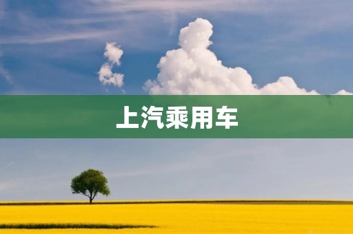 上汽乘用车:引领中国汽车行业创新发展 上汽乘用车:引领中国汽车行业创新发展