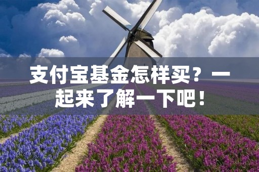 支付宝基金怎样买?一起来了解一下吧! 支付宝基金怎样买?一起来了解一下吧!