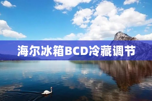 海尔冰箱BCD冷藏调节：为您带来更好的食物保鲜体验