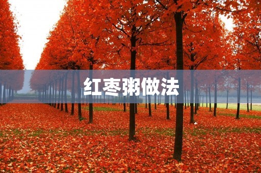 红枣粥做法:营养丰富,简单易学 红枣粥做法:营养丰富,简单易学