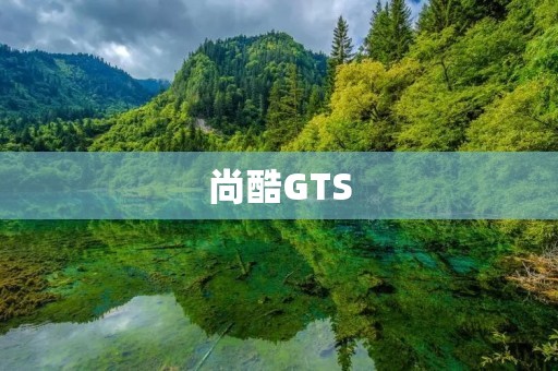 尚酷GTS：豪华与**的完美结合