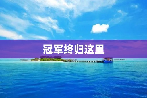 冠军终归这里：探寻背后的故事与努力