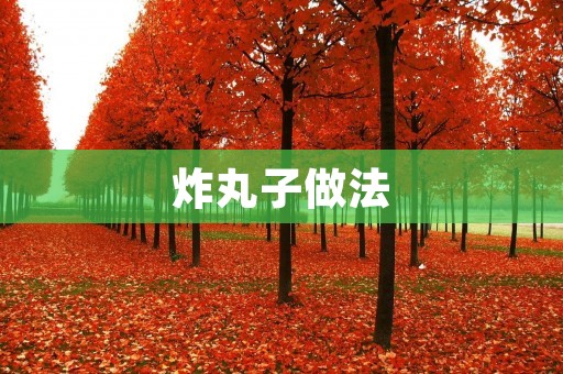 炸丸子做法：简单易学，美味可口