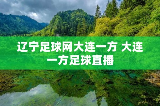 辽宁足球网大连一方 大连一方足球直播 辽宁足球网大连一方 大连一方足球直播