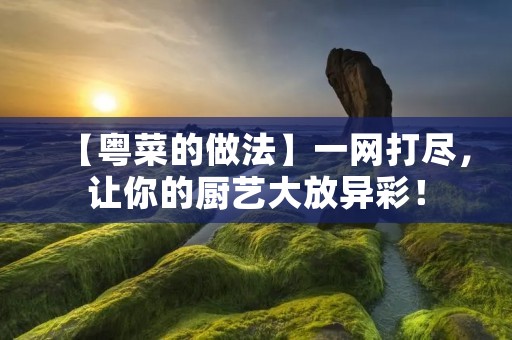 【粤菜的做法】一网打尽，让你的厨艺大放异彩！