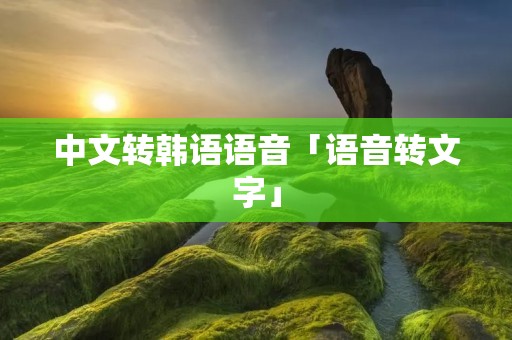 中文转韩语语音「语音转文字」