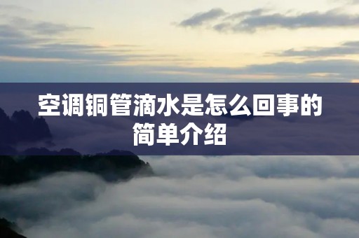 空调铜管滴水是怎么回事的简单介绍
